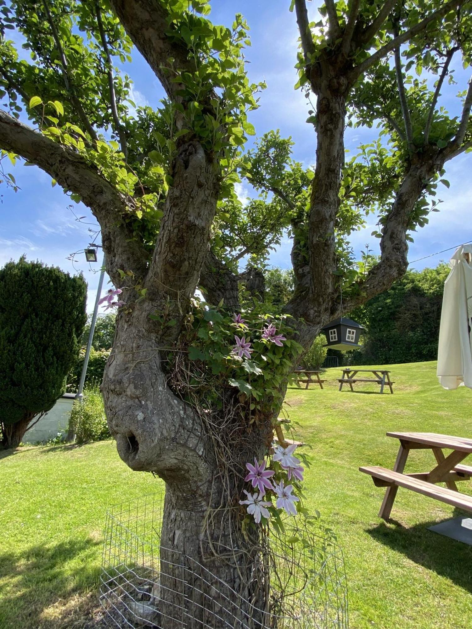 The Lydden Bell Bed and Breakfast Exteriör bild