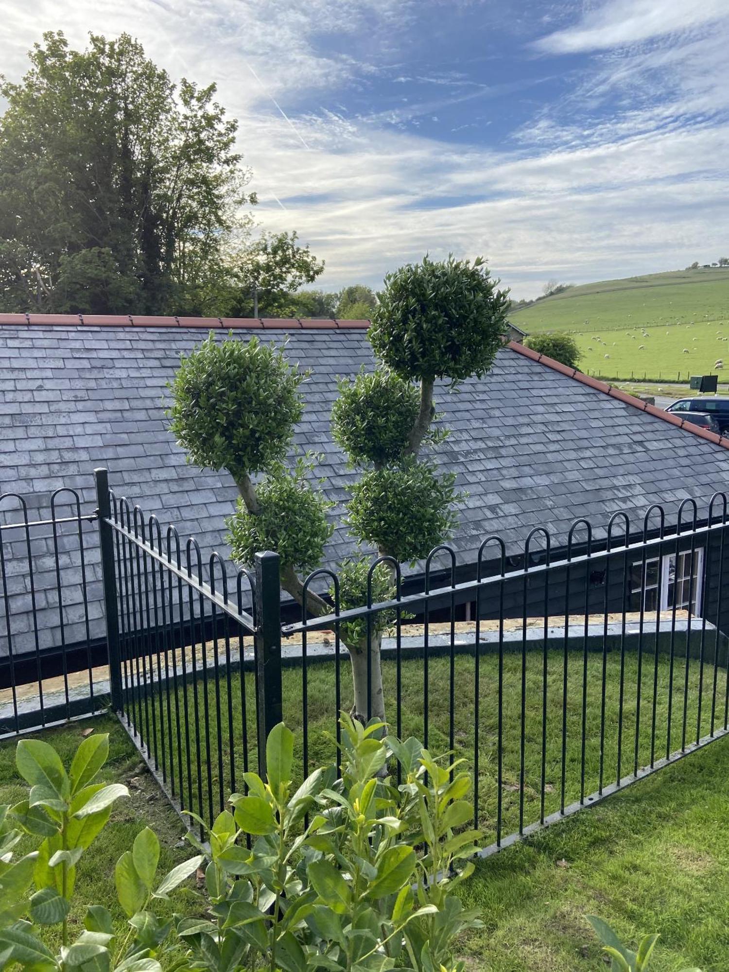 The Lydden Bell Bed and Breakfast Exteriör bild